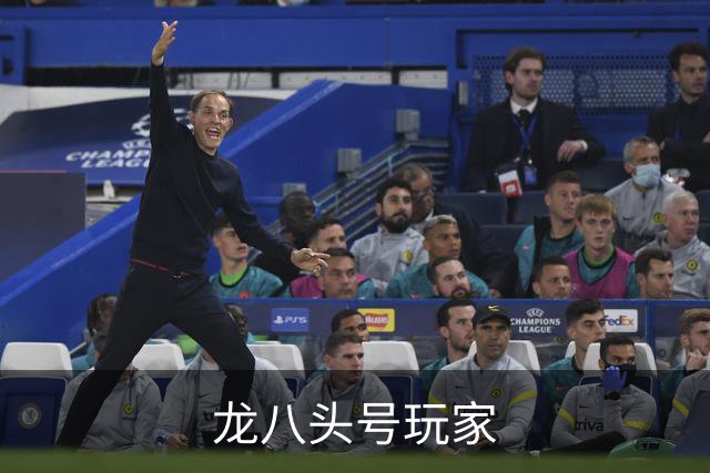 龙八头号玩家公司简介图片